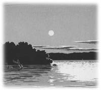 ���ԑ�̓��]�@���R�n�}�����o���I�s