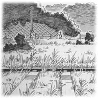 �p�����΁@���R�n�}�����o���I�s