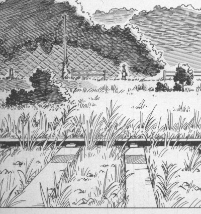 �p�����΁@���R�n�}�����o���I�s