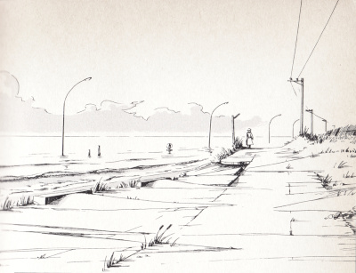 �C�ӂ�����R�R�l�@���R�n�}�����o���I�s