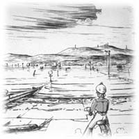 �u�I�����v�̃J�[�u�@���R�n�}�����o���I�s