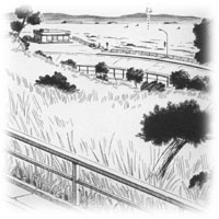 ORANGE FOOT�@���R�n�}�����o���I�s