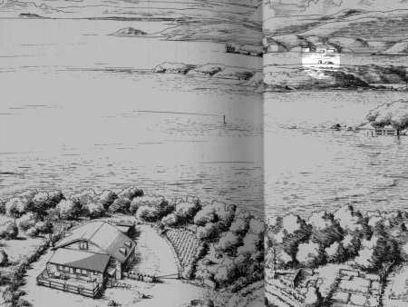 �J�t�F�A���t�@�� �i�K�C���̋������i���䋋�����j�@���R�n�}�����o���I�s