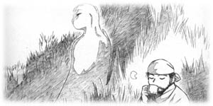 �A���Z�Ə����^�̃L�m�R