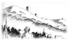 �A���Z�ƎR�̏�̃L�m�R�r��